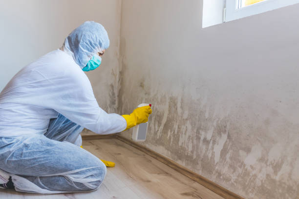 Licensed Mold Remediation service in North Brunswick, NJ - 24 Hour Mold Removal