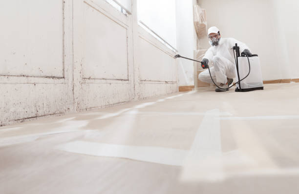 24/7 Emergency Mold Remediation experts in North Brunswick, NJ