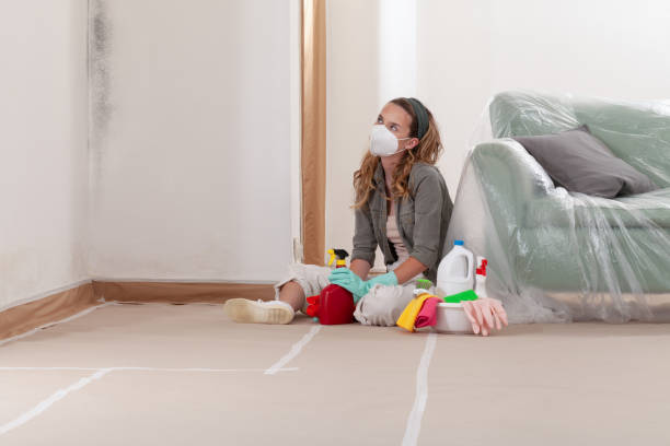 Reliable Mold Remediation contractor in North Brunswick, NJ by 24 Hour Mold Removal